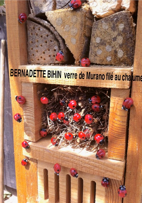 coccinelles