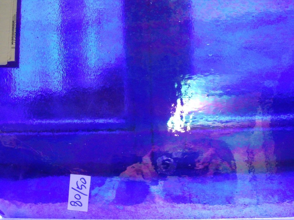 IMGP3710