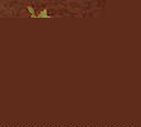 Marqueterie de Muriel Mayné