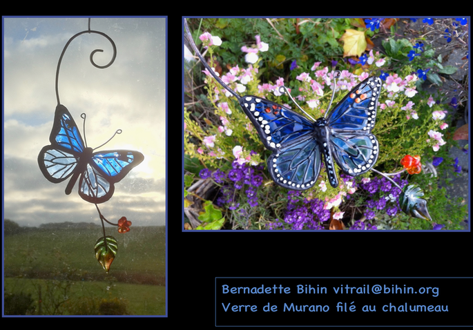 monarque bleu