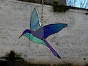 petit oiseau